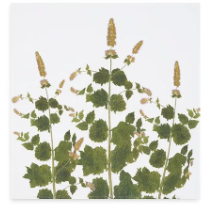 Load image into Gallery viewer, Tisane Herb Linen Napkins