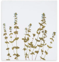 Load image into Gallery viewer, Gastronomic Herb Linen Napkins