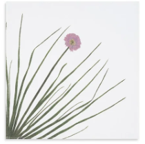 Load image into Gallery viewer, Gastronomic Herb Linen Napkins