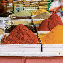 Load image into Gallery viewer, Christine Chitnis: Patterns of India