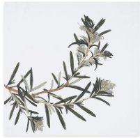 Load image into Gallery viewer, Gastronomic Herb Linen Napkins