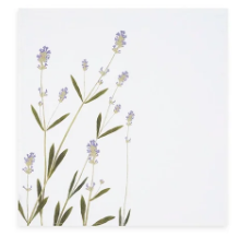Load image into Gallery viewer, Tisane Herb Linen Napkins