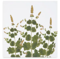 Load image into Gallery viewer, Tisane Herb Linen Napkins
