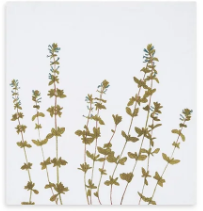 Load image into Gallery viewer, Gastronomic Herb Linen Napkins
