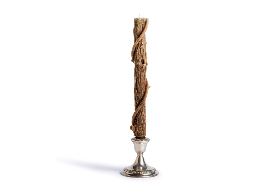 Colossal Oak Honeysuckle Brown Candle