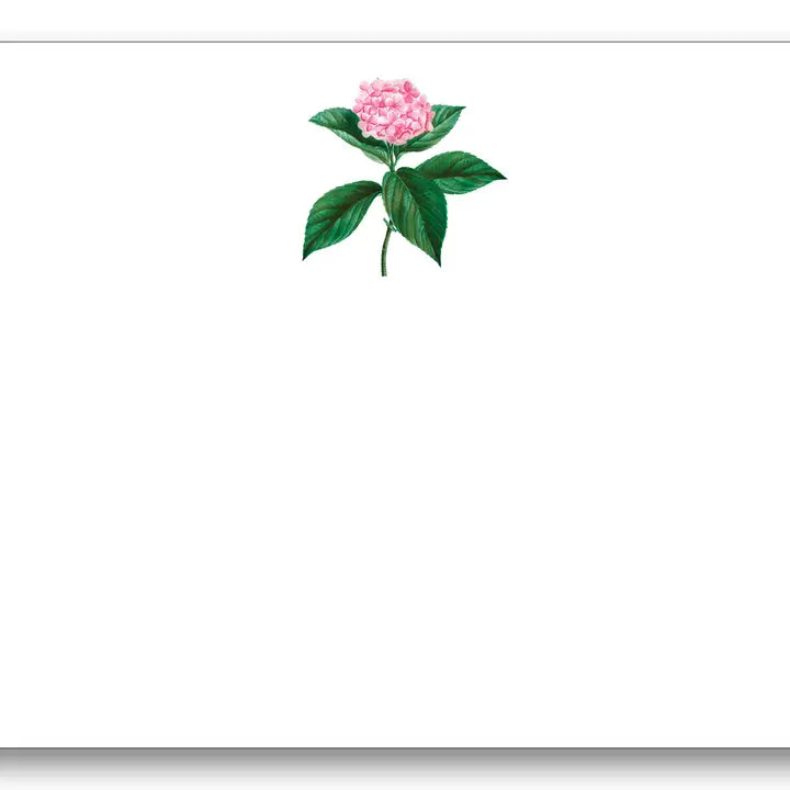 Pink Hydrangea Note Cards