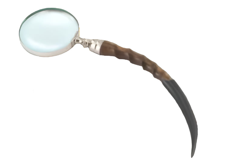 Magnifier with Large Handle