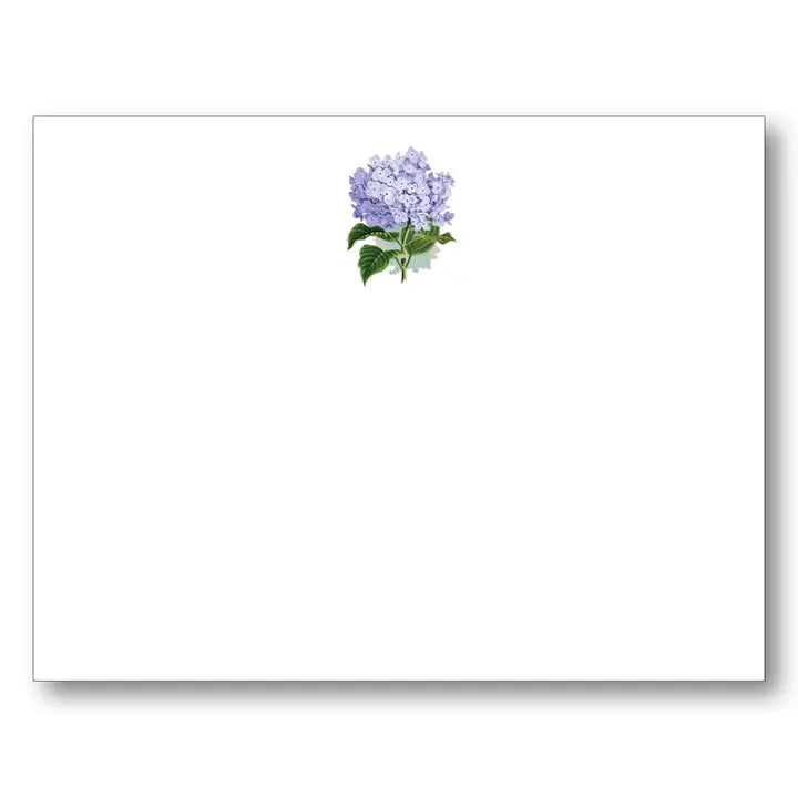 Hydrangea Note Cards