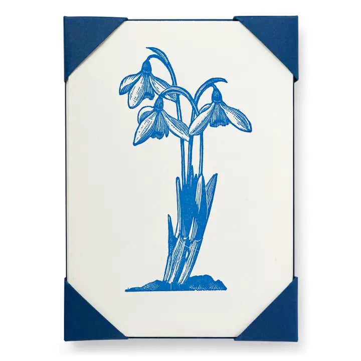 Snowdrop Notelet Card (5 pack)