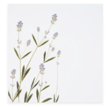 Load image into Gallery viewer, Tisane Herb Linen Napkins
