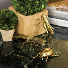 Load image into Gallery viewer, Decorative Gold Grasshopper
