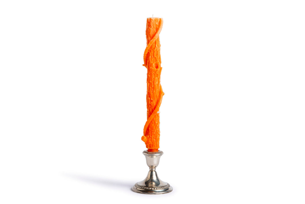 Colossal Oak Tangerine Candle